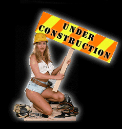 Hot construction lady